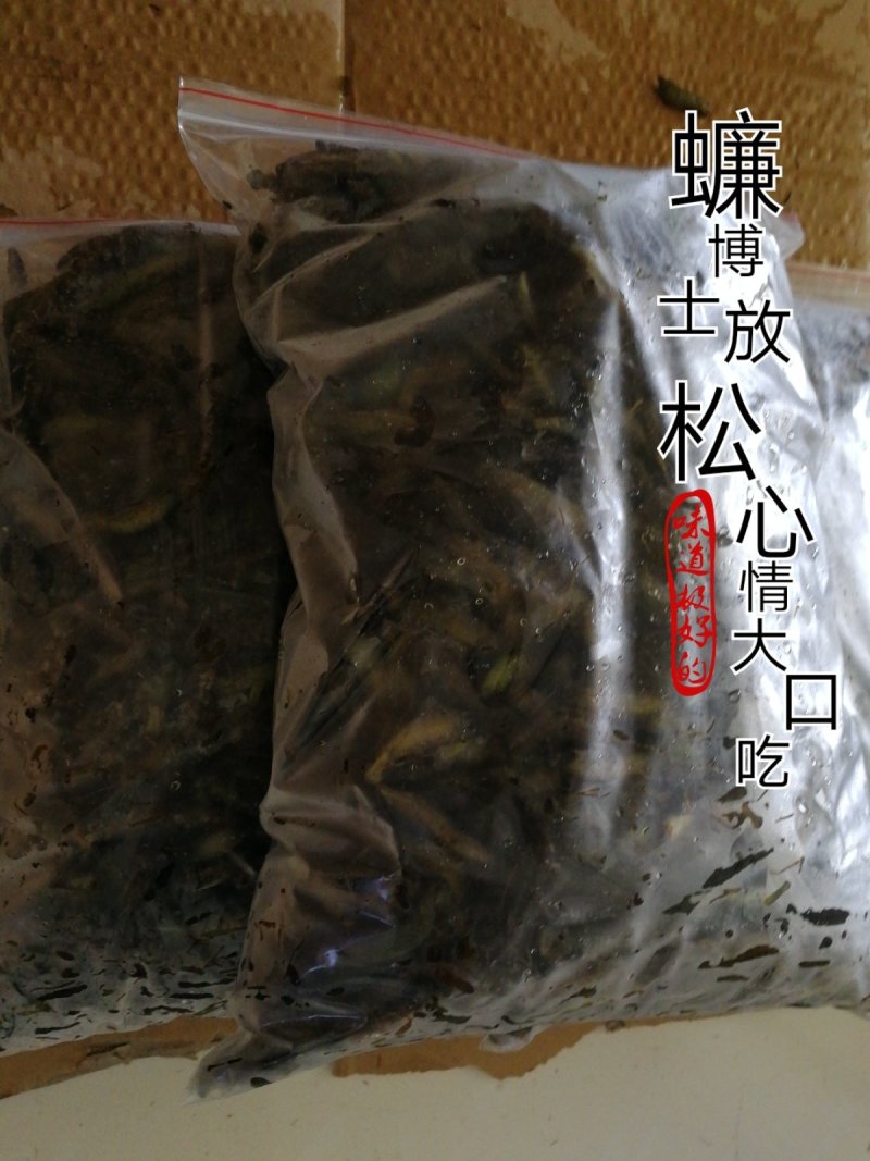 常年供产地野生水蜻蜓活体速冻新鲜供应不带冰