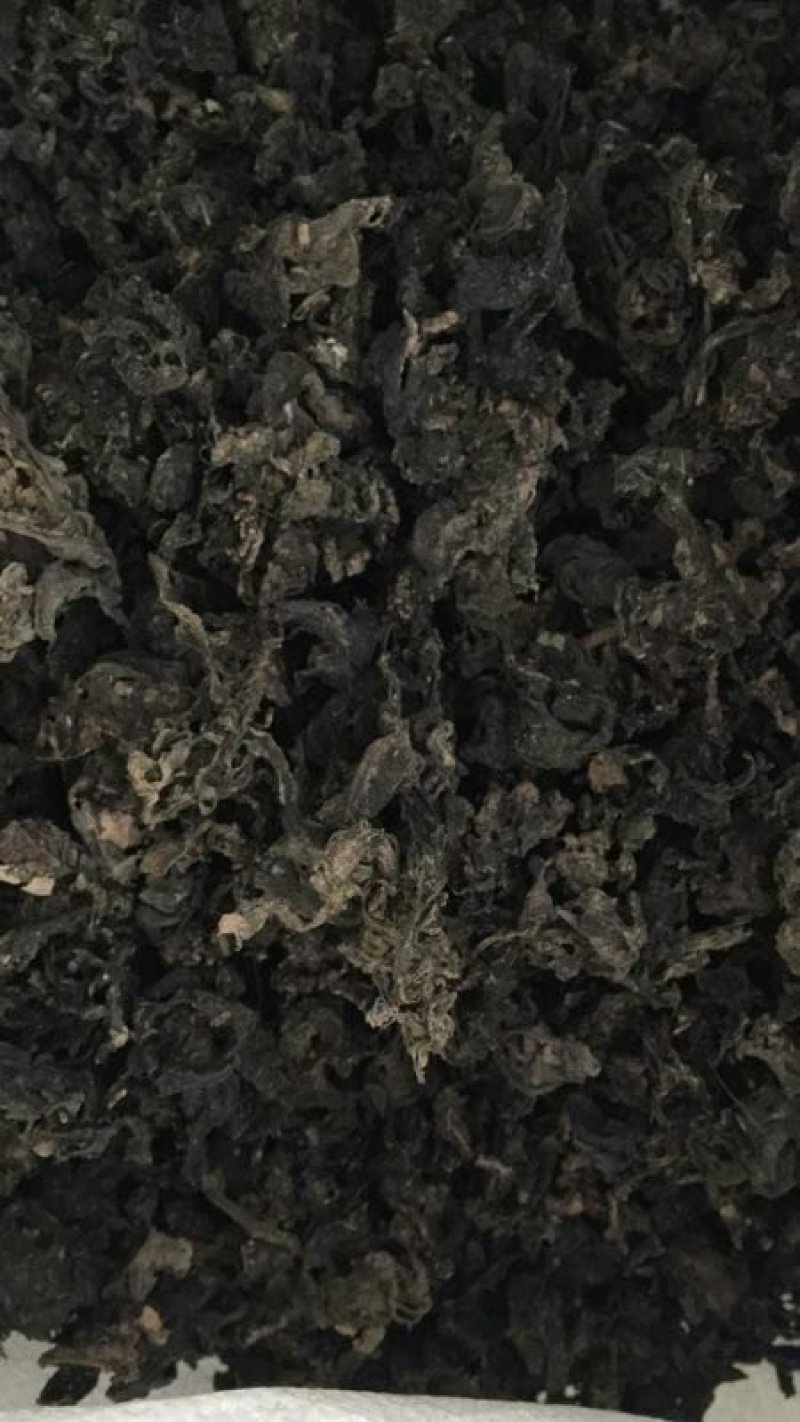延安过筛地皮菜(地软)