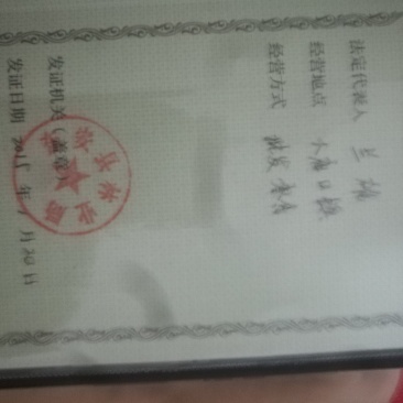 绿化苗木