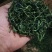 野生蒲公英茶(手工炒制)(我们生产,招代理)