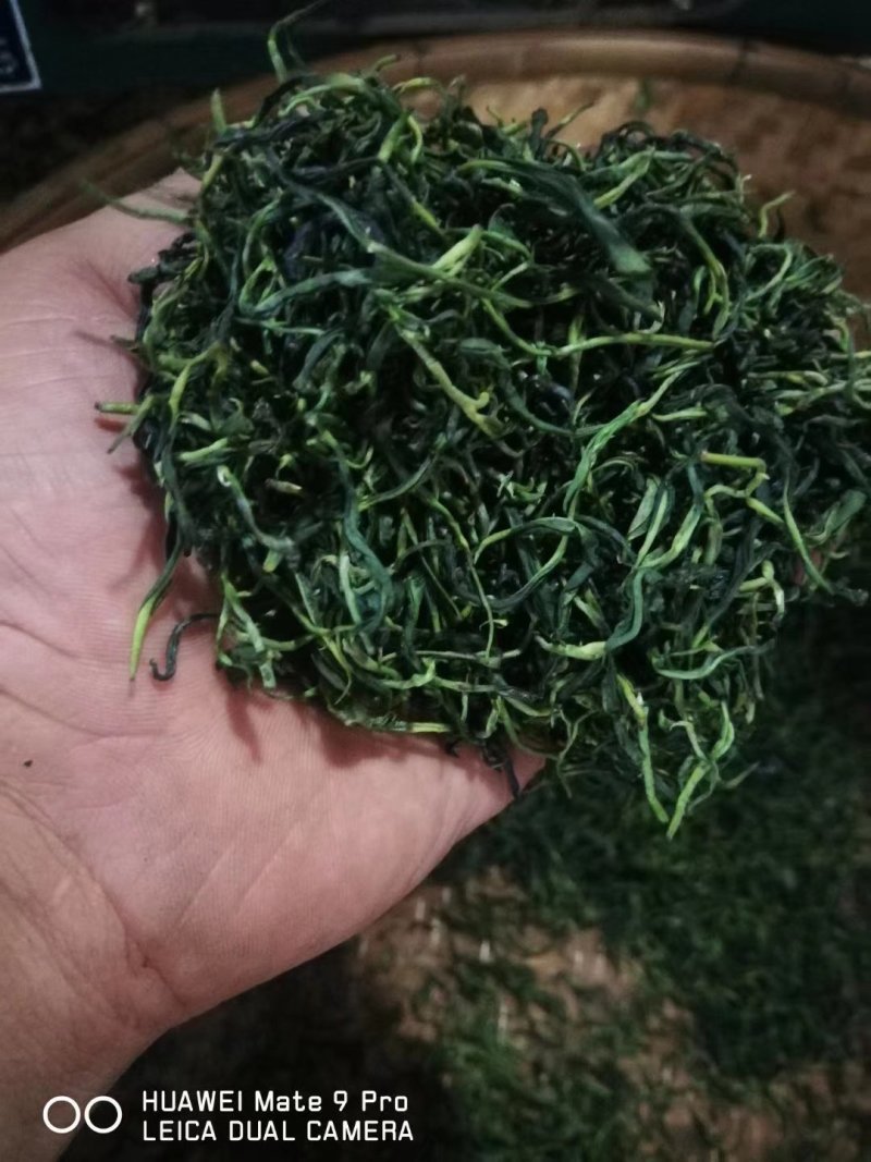 野生蒲公英茶（手工炒制）（我们生产，招代理）