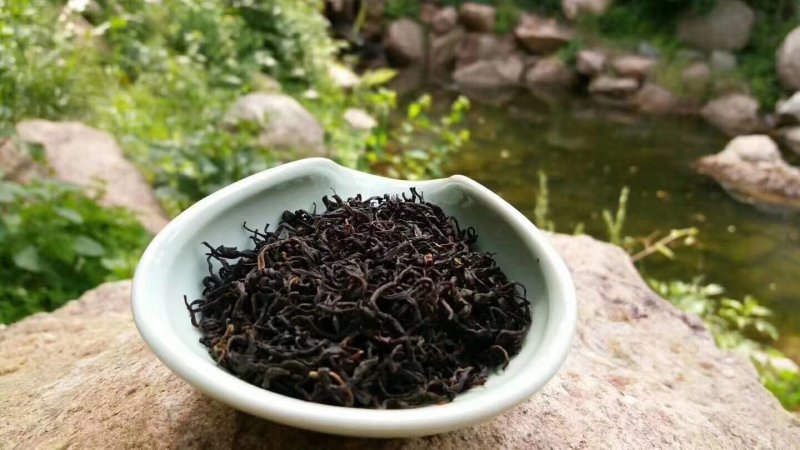 野生蒲公英茶（手工炒制）（我们生产，招代理）