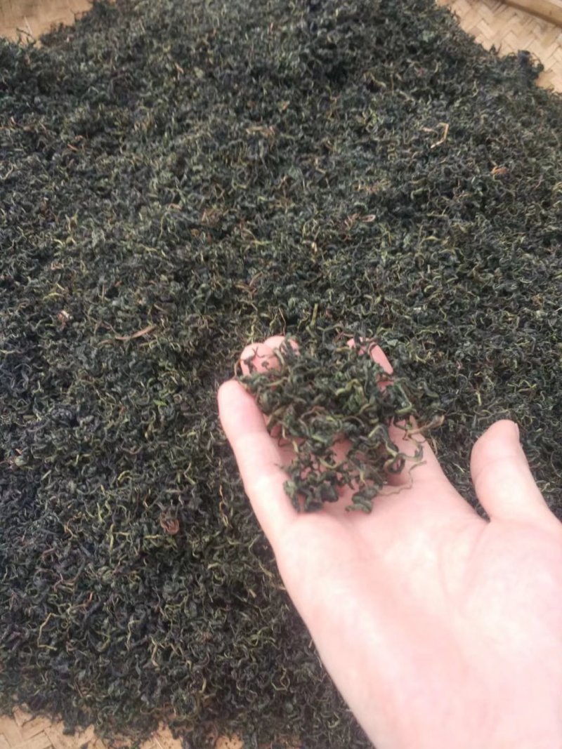 野生蒲公英茶（手工炒制）（我们生产，招代理）