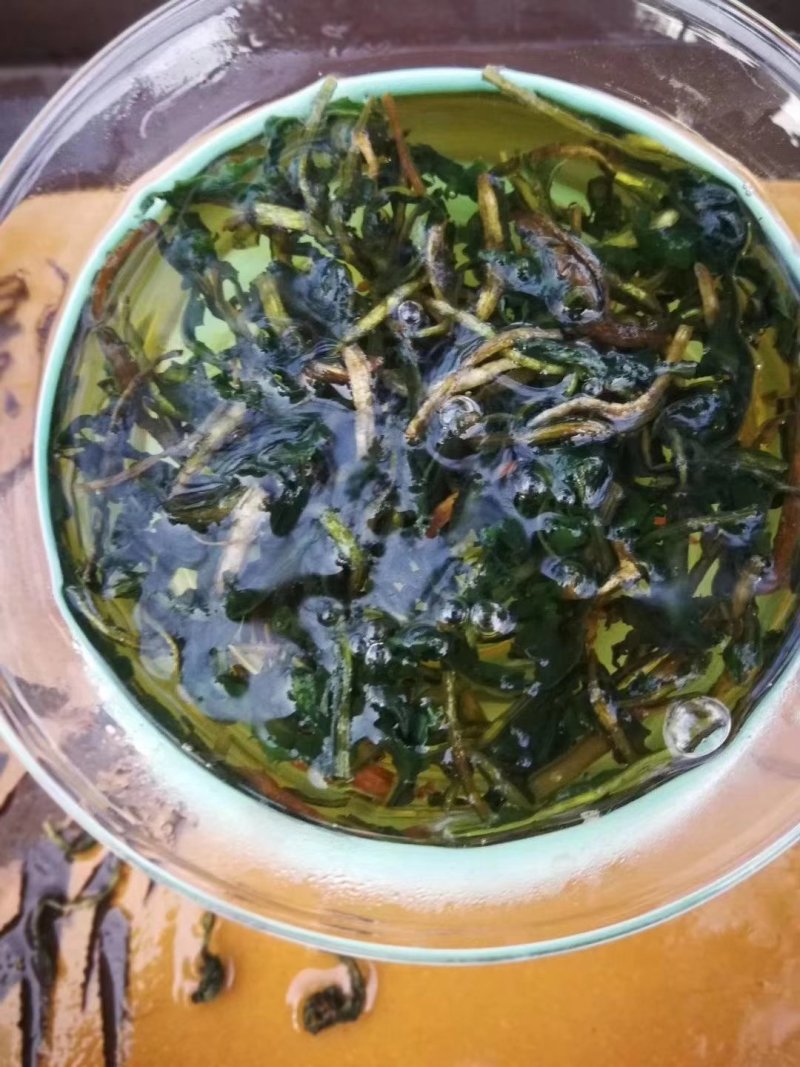野生蒲公英茶（手工炒制）（我们生产，招代理）