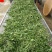 野生蒲公英茶(手工炒制)(我们生产,招代理)