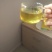 野生酸枣芽手工茶