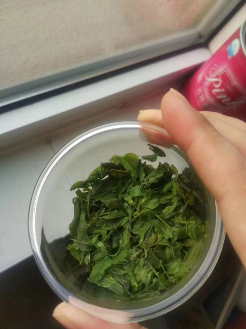 野生酸枣芽手工茶