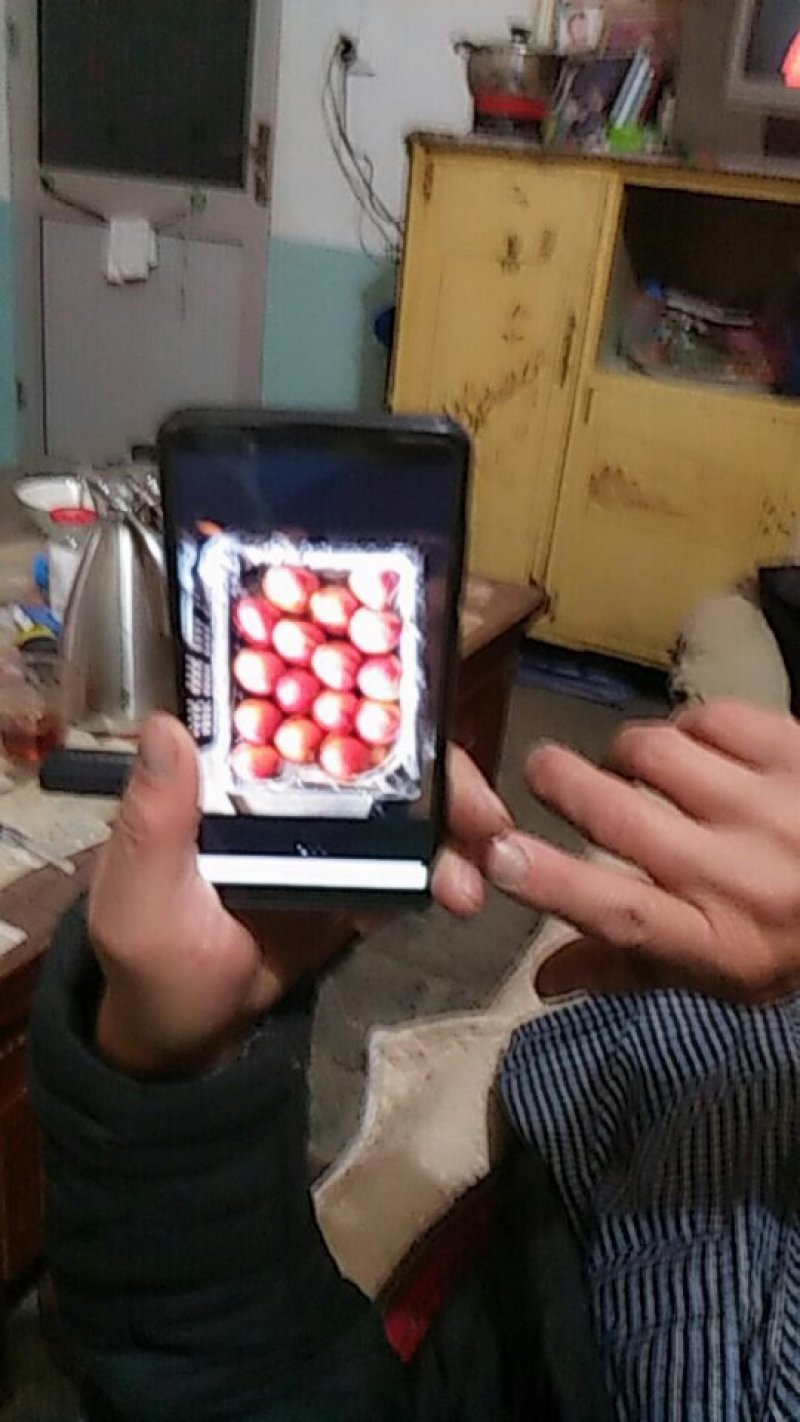 红富士苹