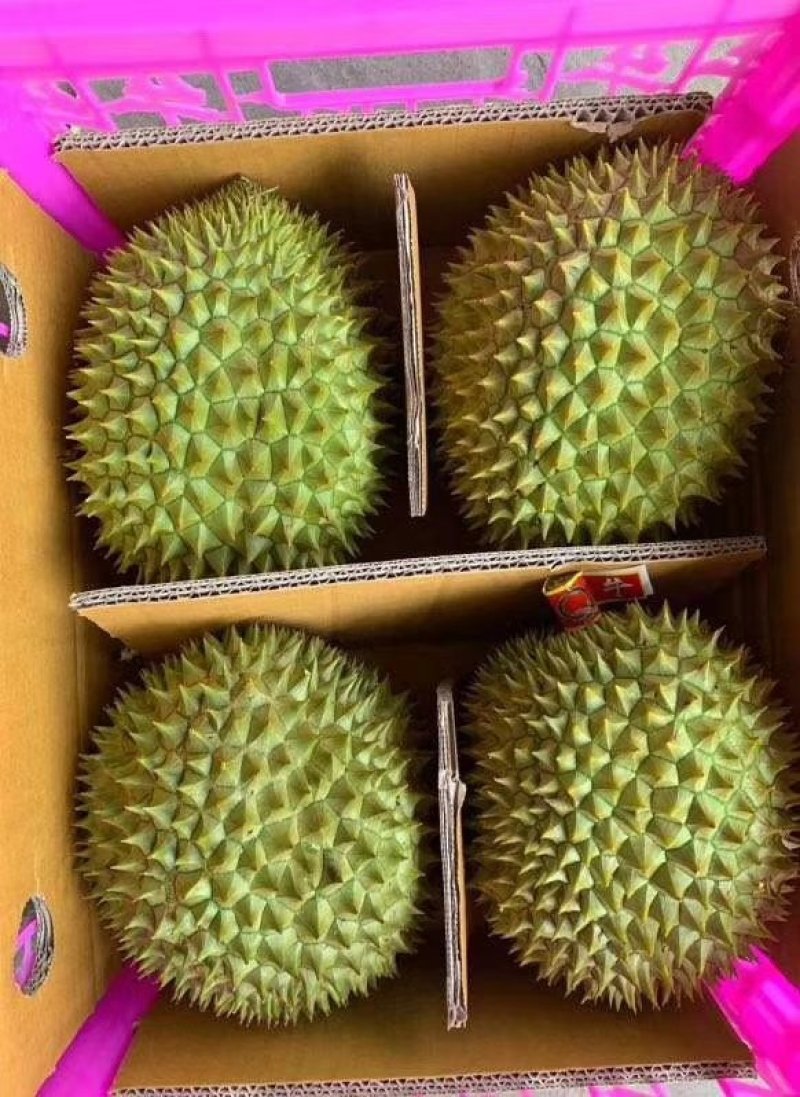 榴莲