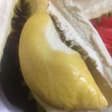榴莲