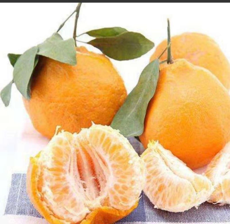 碰柑