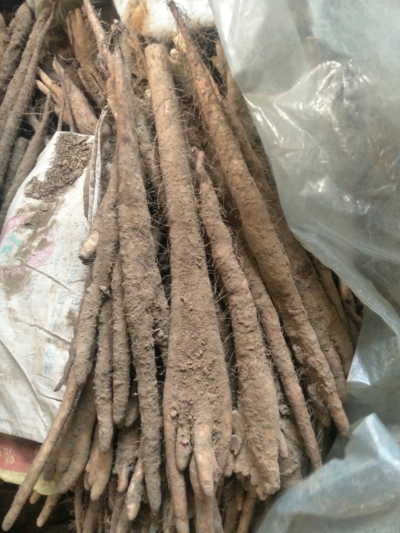 棒药，紫药