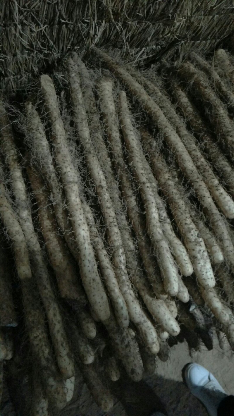 棒药，紫药