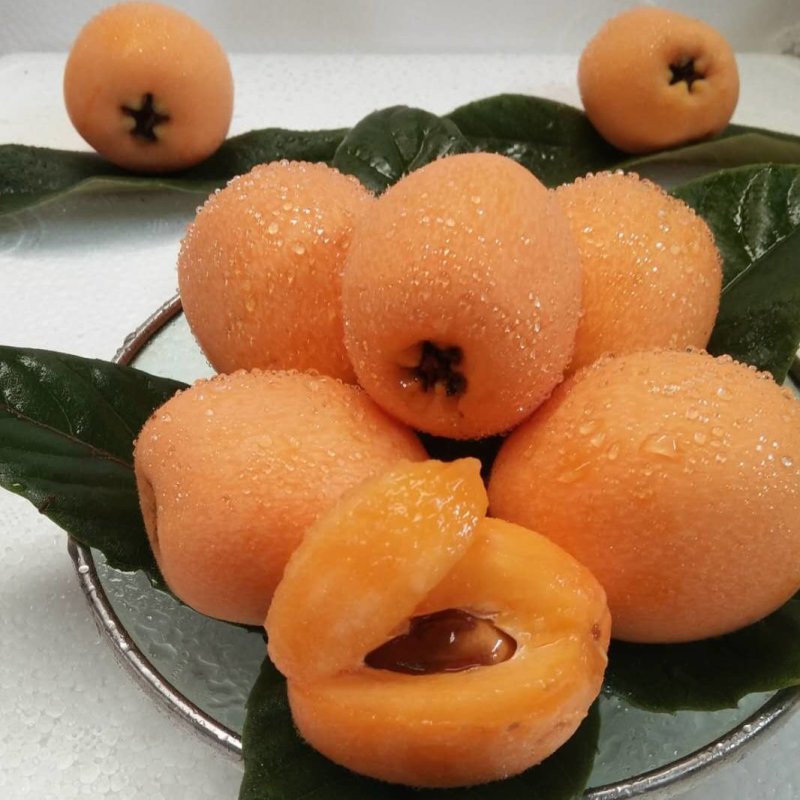 枇杷