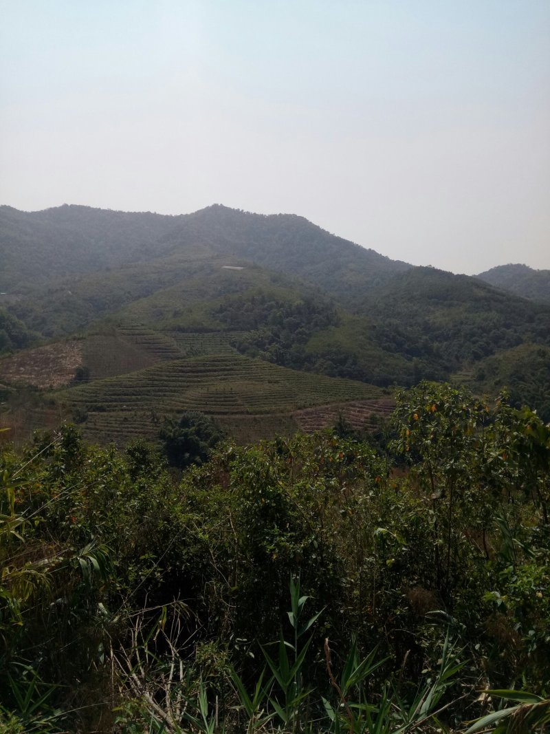山地转让