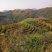 山地转让