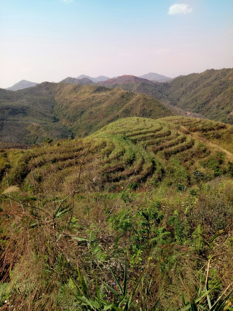 山地转让