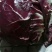 特菜精品