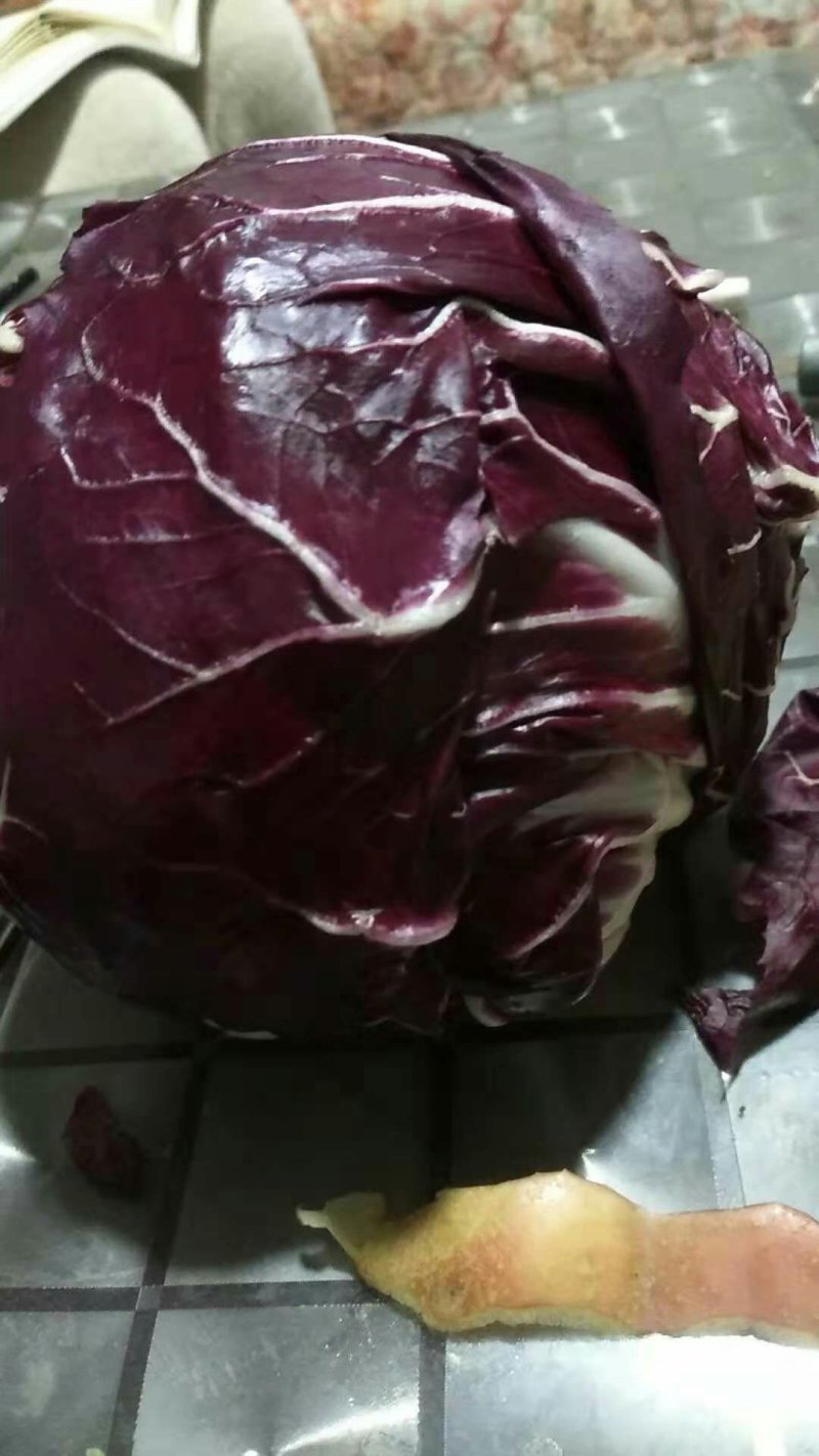 特菜精品