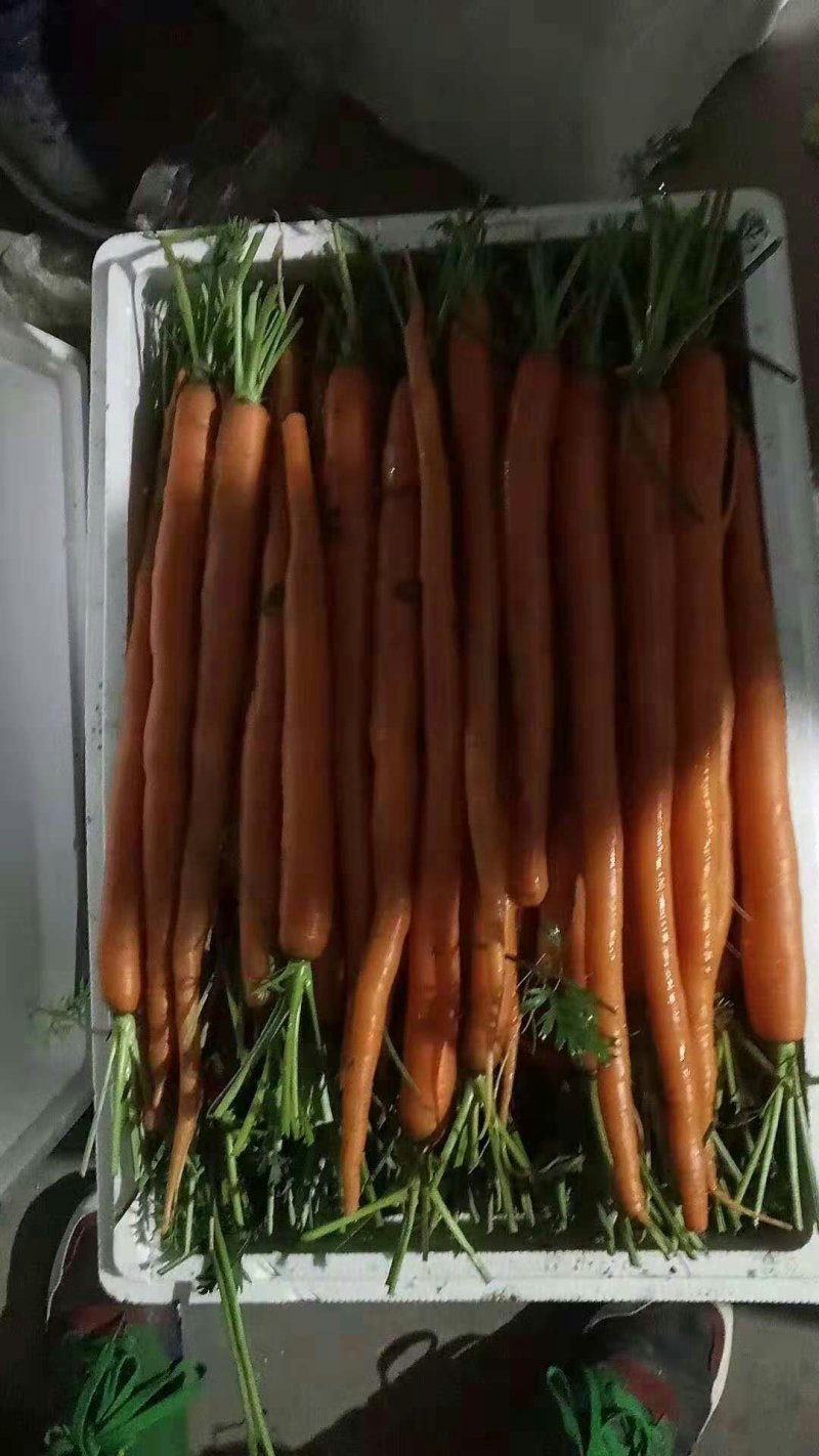 特菜精品