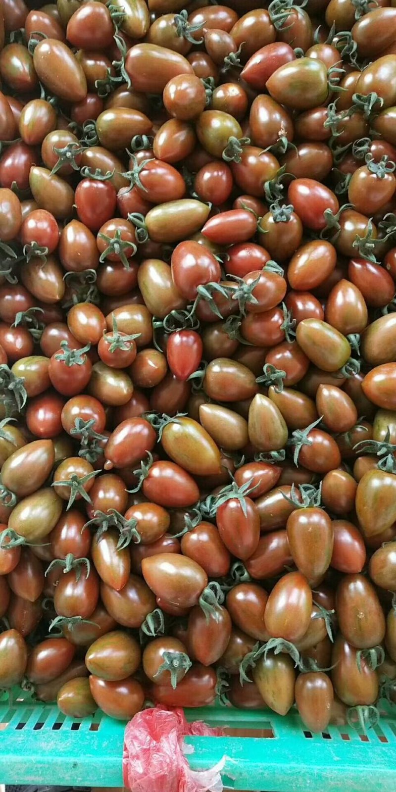 特菜精品