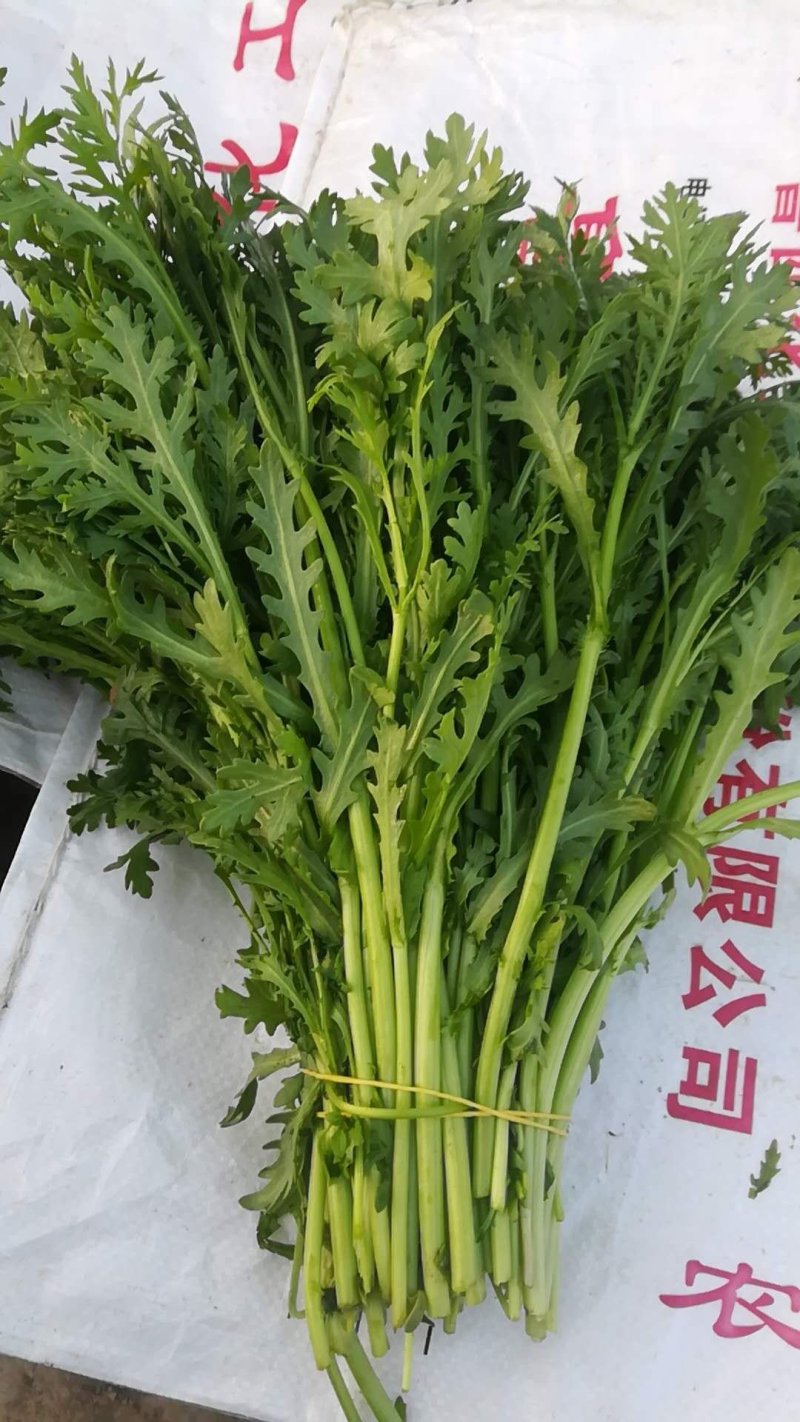 茼蒿
