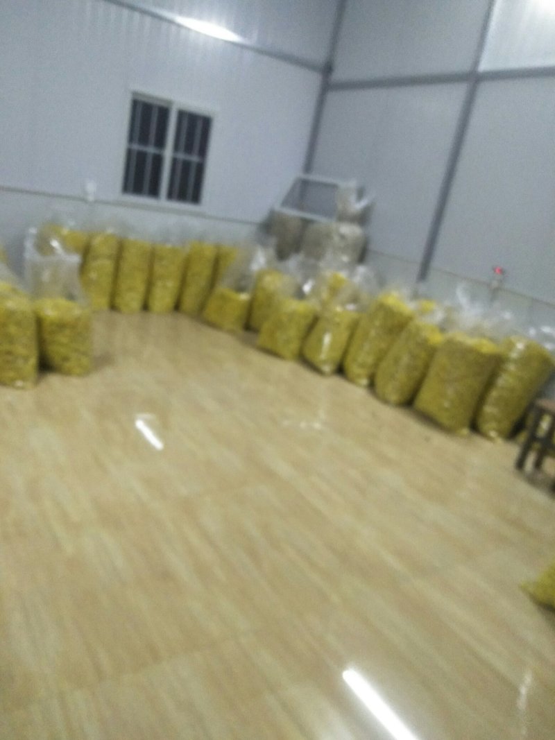 供应卢氏县汤河乡，高山皇菊，