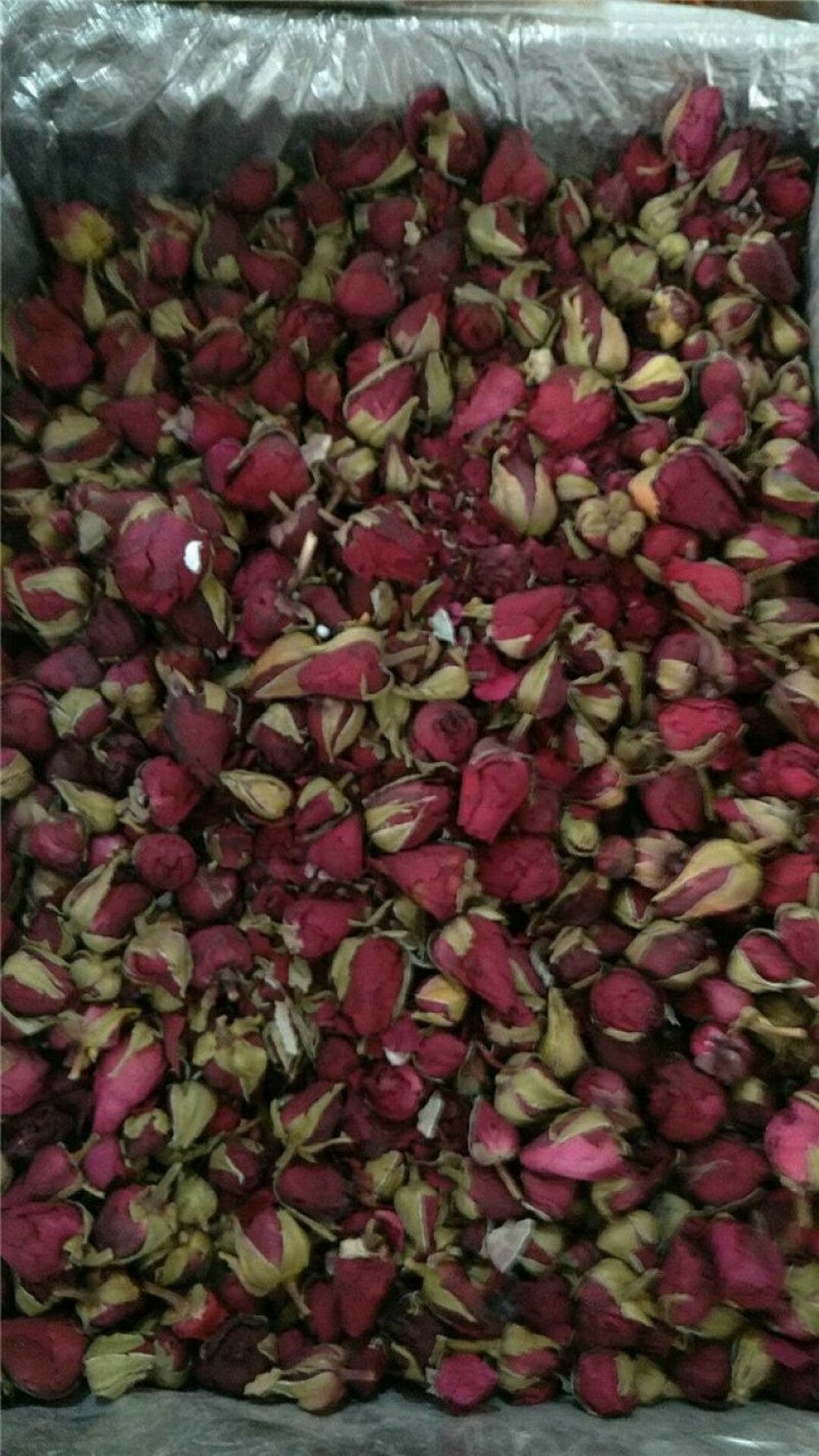 月季花茶云南干货种植