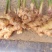 量大从优