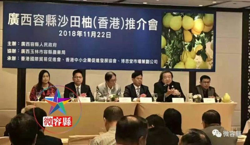 广西容县沙田柚