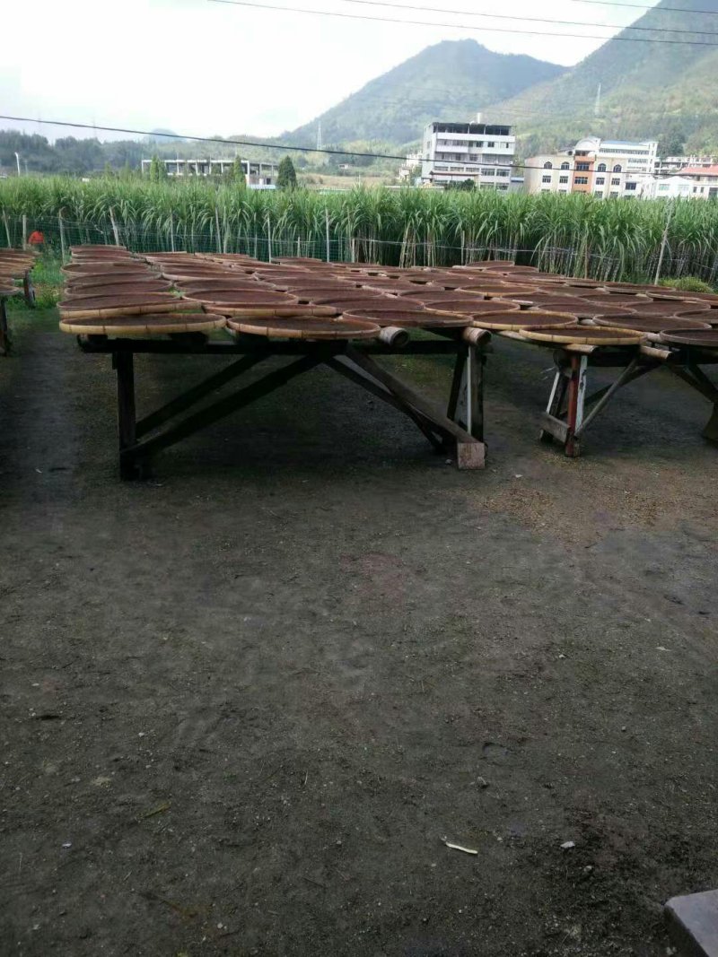 福建省三明市红粬批发