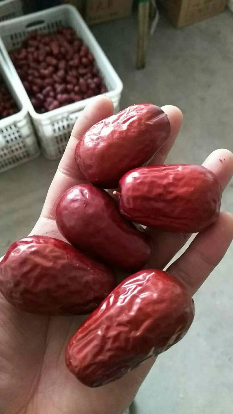 陕北延安狗头枣一级