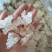 缅甸特级雪燕，干净无杂，500克一袋，包邮