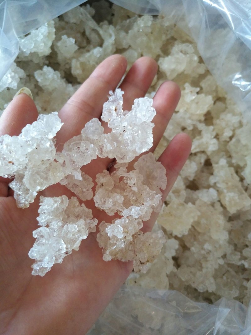 缅甸特级雪燕，干净无杂，500克一袋，包邮