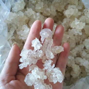 缅甸特级雪燕，干净无杂，500克一袋，包邮