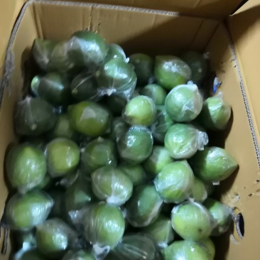 香水柠檬