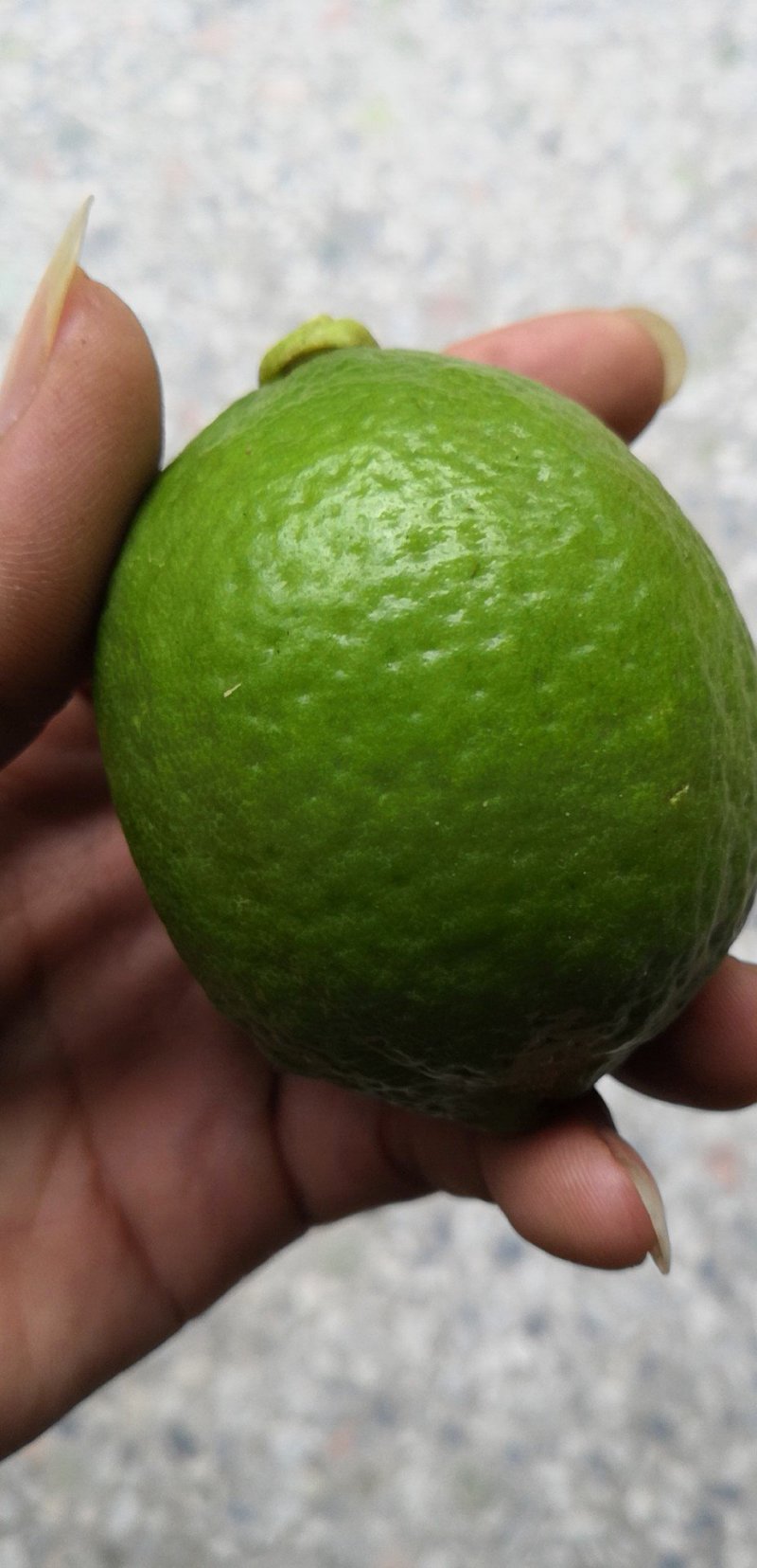 香水柠檬