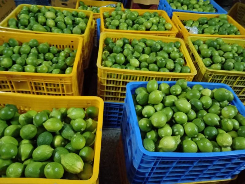 香水柠檬