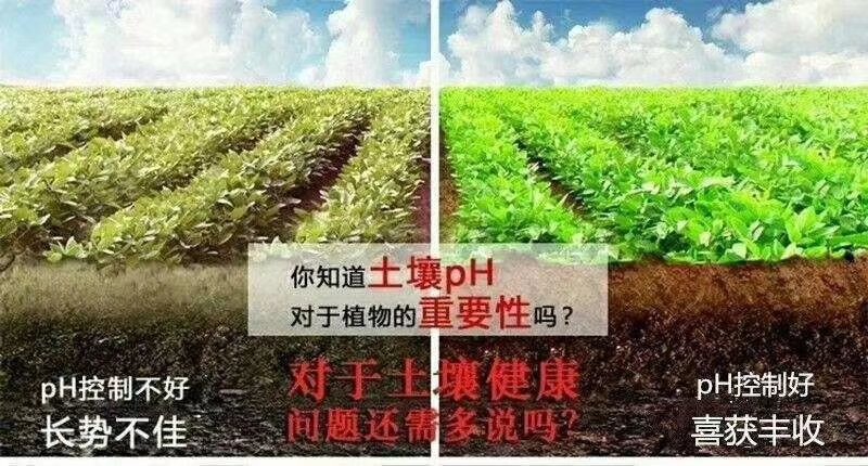 数显PH计，检测土壤酸碱度
