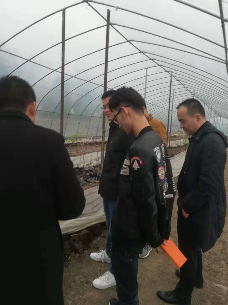 有技蚯蚓肥大量供应