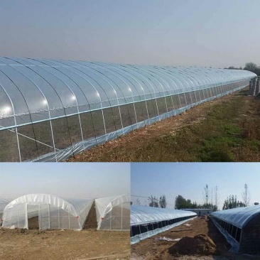 625/825型大棚架蔬菜大棚骨架温室大棚钢管钢架养殖