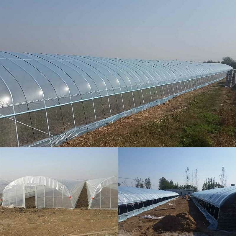 625/825型大棚架蔬菜大棚骨架温室大棚钢管钢架养殖