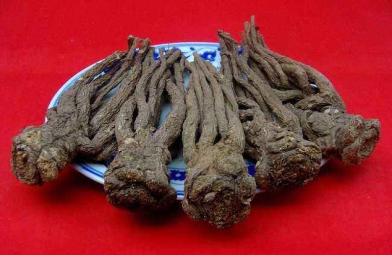 当归原条，片，头片。无硫