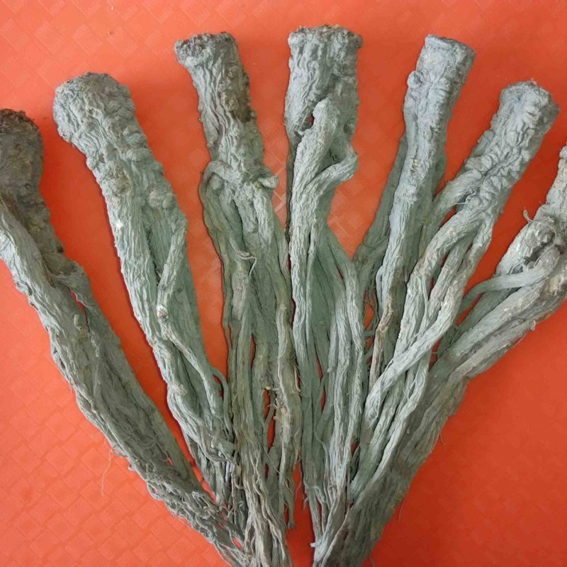 当归原条，片，头片。无硫
