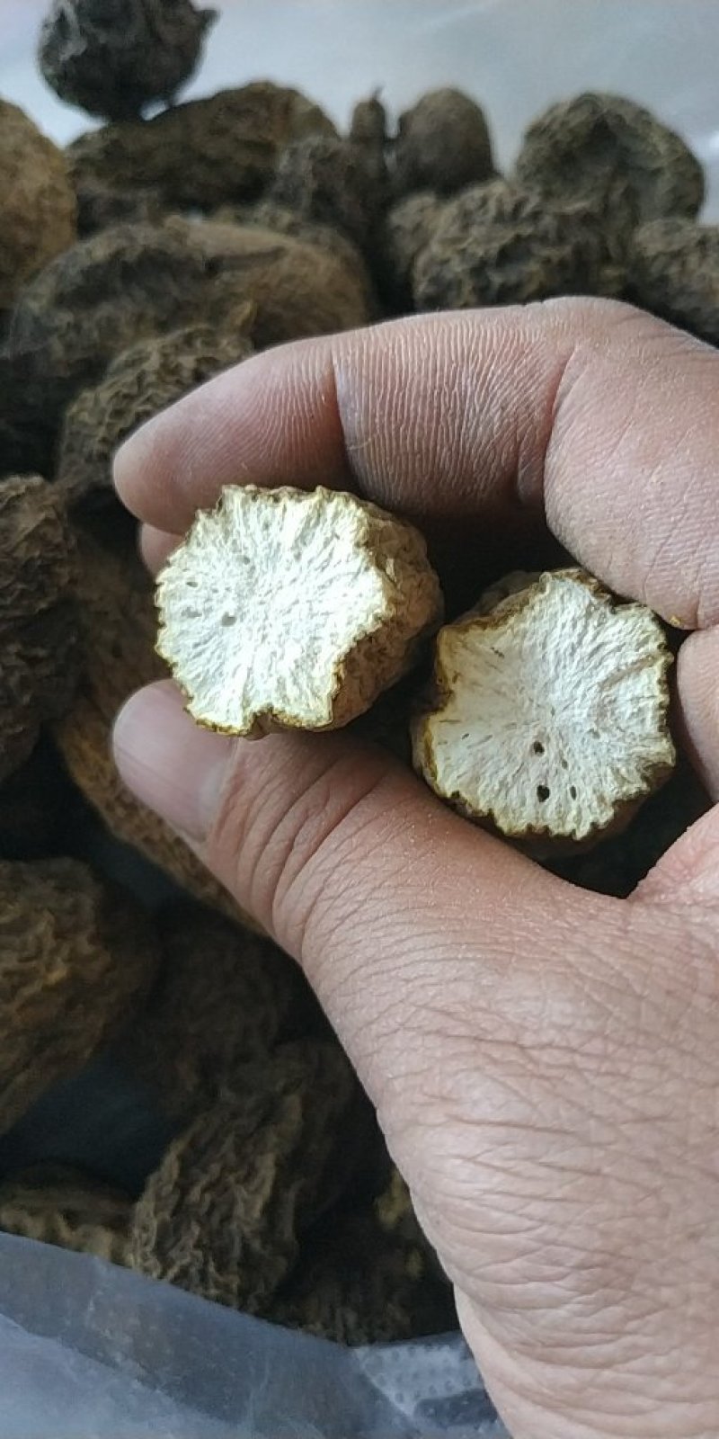 金果榄山慈菇金线掉葫芦
