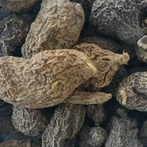 金果榄山慈菇金线掉葫芦