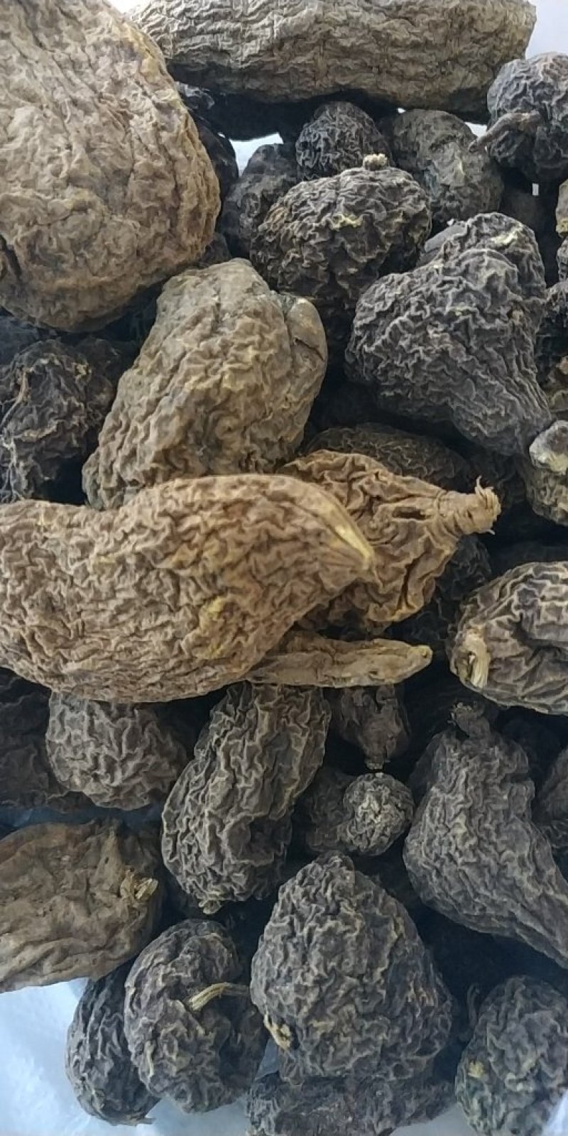 金果榄山慈菇金线掉葫芦