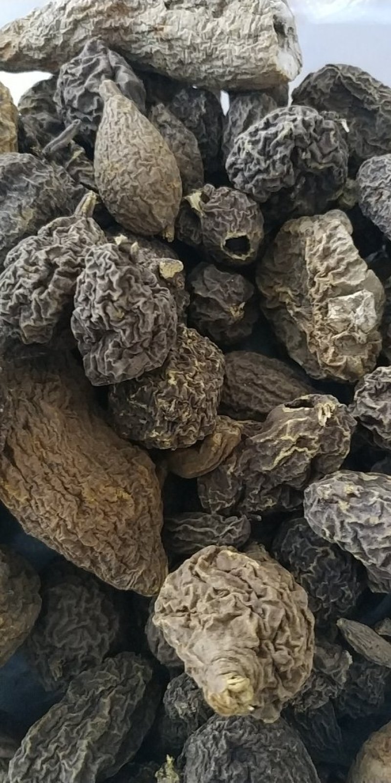 金果榄山慈菇金线掉葫芦