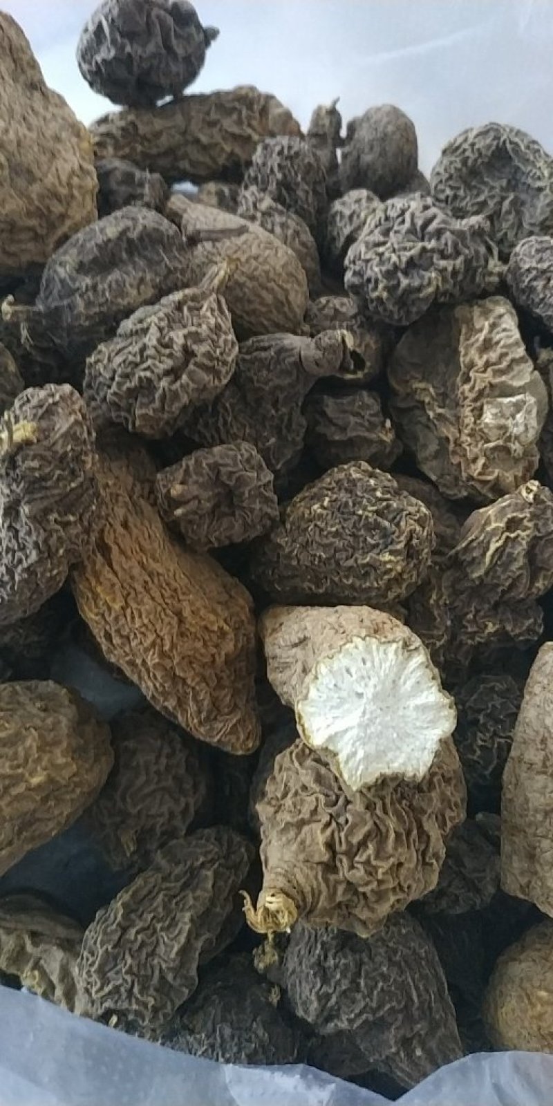 金果榄山慈菇金线掉葫芦