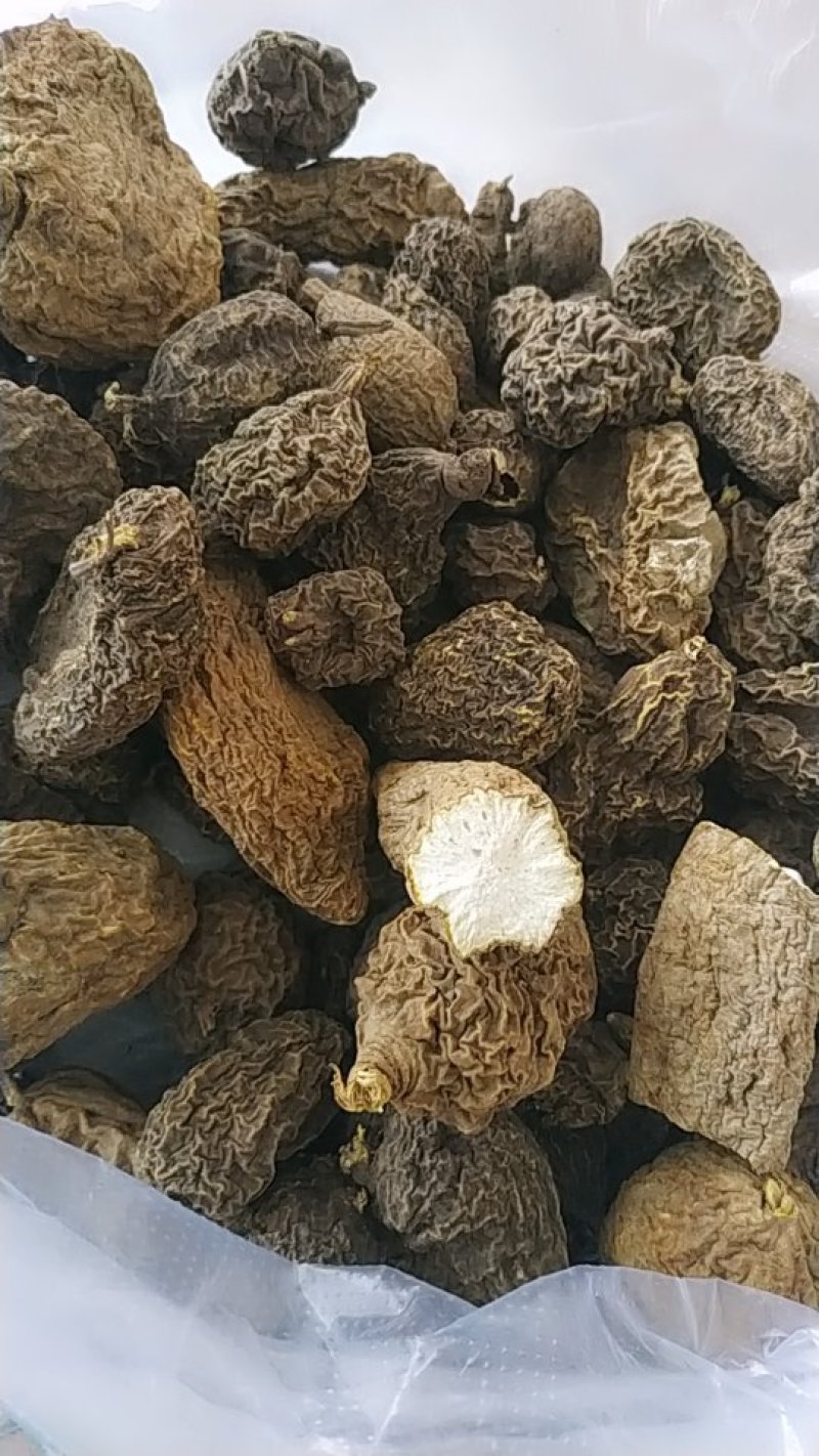 金果榄山慈菇金线掉葫芦